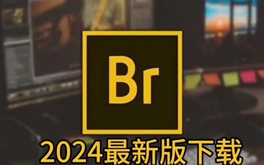 Adobe Bridge「Br」2024软件最新版永久安装包下载 详细安装教程