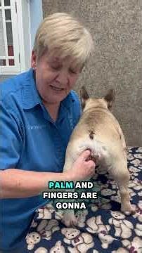 How To Help Your Dog Release Tension In The Pelvis with The Masterson Method