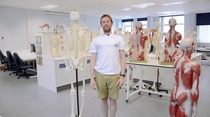 Erector Spinae (Back Muscles) | Spine Physiotherapy & Rehabilitation Centre