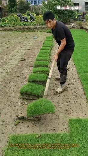 How to Edge a Lawn with Just a Shovel! DIY Yard Hack