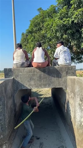 funny,#trending | funny