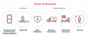 Chain of Survival - Meaning, Steps and Importance