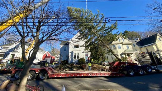 Portland's holiday tree taken to Monument Square ahead of lighting ceremony