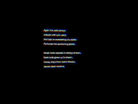 Namaqualand After Rain - Poem Analysis