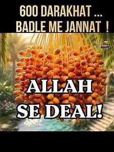 600 Khajoor Ke Darakht Ya Jannat? Unhon Ne Kya Chuna?
