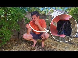 How to NOT Kill Your Garden with Biochar