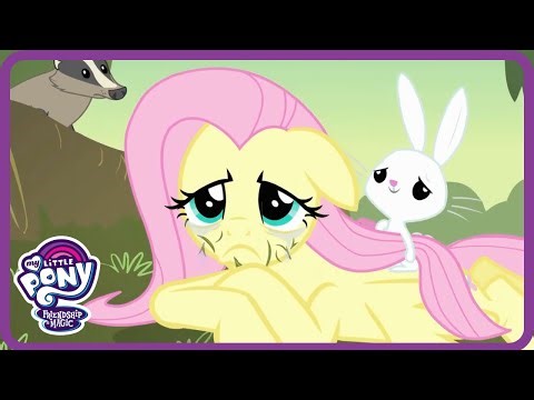 My Little Pony 🌪️ Hurricane Fluttershy: Believe In Yourself! | Toon Mania - Princess World