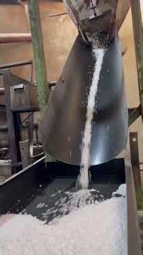 This Factory Turns Cassava Into Sabudana Perfectly Every Time #manufacturing #howitsmade #shorts