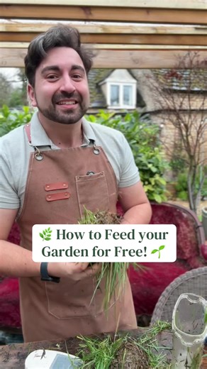 Utilize Grass Clippings and Leaves for Garden Nutrients