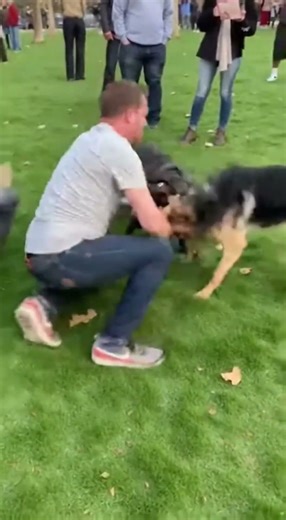 He was SO BRAVE to break up this fight! 😨