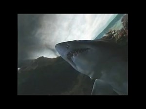 Seaworld San Diego in 1998