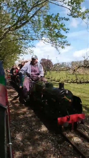 N Class at the Faversham Miniature Railway #shorts