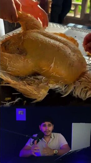 The machine that de-feathers chickens in seconds