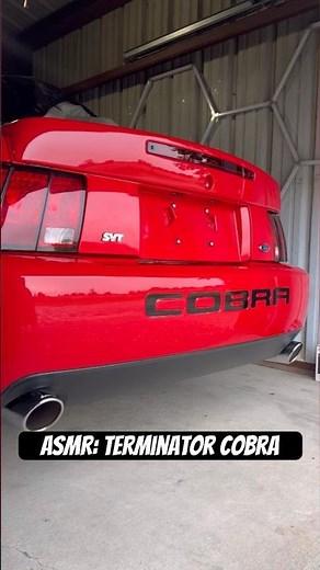 ASMR: Terminator Cobra