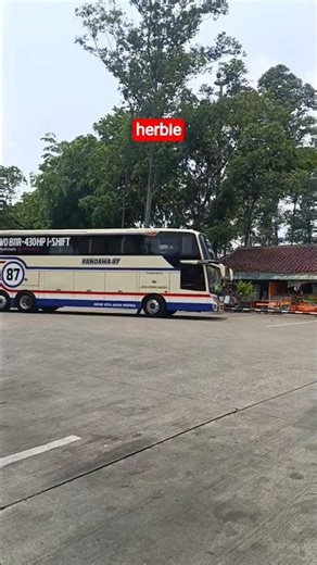 livery unik bus pandawa 87 jetbus 3+ UHD herbie #bus #pandawa87akap #busmania