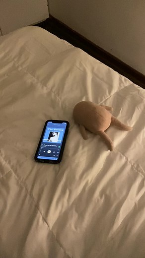 Please, Please, Please, Let Me Get What I Want - The Smiths #thesmiths #ketnipz #bean #indie #fyp #music