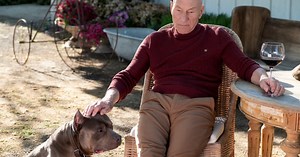 How 'Picard' Fits Into the 'Star Trek' Timeline