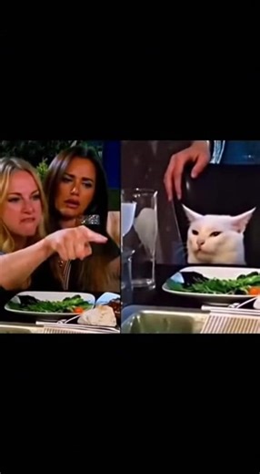 Funny split-screen: angry yelling woman vs. white cat 😾🤯 #whitecat #catai #sora2 #viral