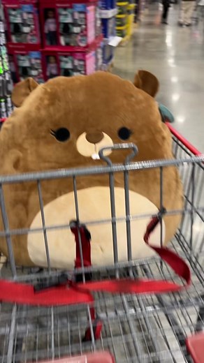 Beaver Squishmallow: The Perfect 24-Inch Plush