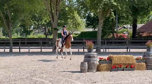 86 reactions | Here he is Thalys, the dream of every kid or amateur!...