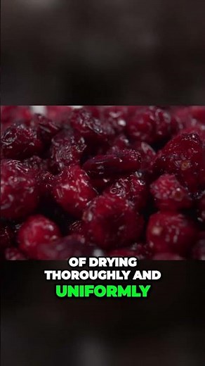 Mastering the Perfectly Dehydrated Cranberries A Guide to Even Drying!