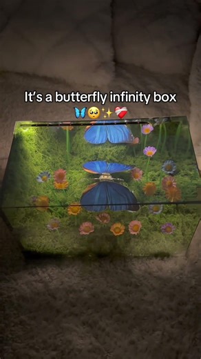 This infinity butterfly cube that lights up and creates a magical mirror effect 🥹🦋✨