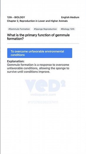 Gemmule Formation in Sponges Biology 12th