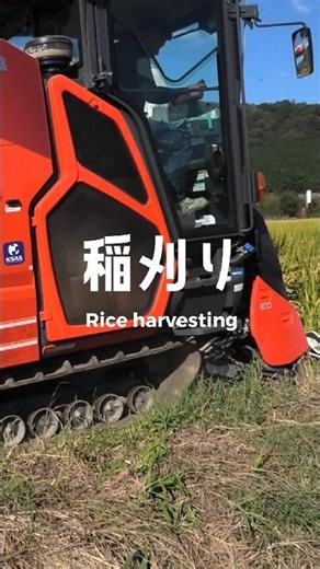 【市川町】黄金色に輝く田んぼで稲刈り