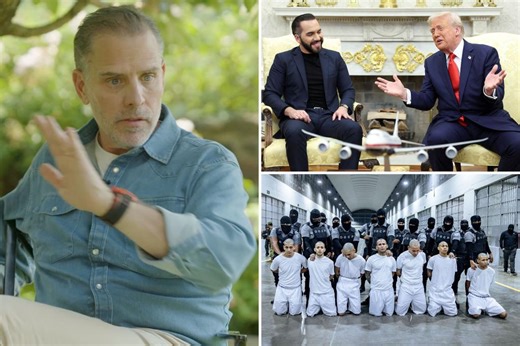 Hunter Biden rages against Trump deportations in bizarre YouTube interview: ‘How do you think your hotel room gets cleaned? Who do you think washes your dishes?’