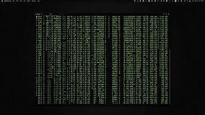 Hacker en 3 pasos: 1️⃣ Abres la terminal 2️⃣ brew install gawk 3️⃣ while :;do echo $LINES $COLUMNS $(( $RANDOM % $COLUMNS)) $(printf "\U$(($RANDOM % 500))");sleep 0.05;done|gawk '{a[$3]=0;for (x in a){o=a[x];a[x]=a[x]+1;printf "\033[%s;%sH\033[2;32m%s",o,x,$4;printf "\033[%s;%sH\033[1;37m%s\033[0;0H",a[x],x,$4;if (a[x]>=$1){a[x]=0;}}}' | Brais Moure | Facebook