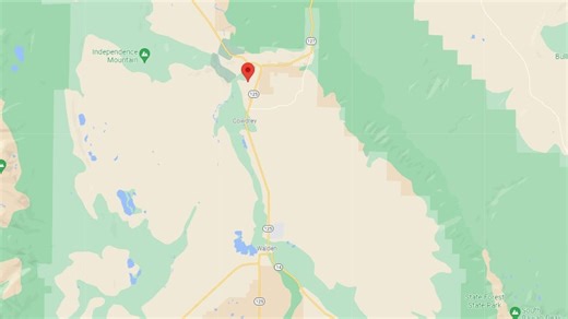 Colorado wildlife officials confirm wolf kill of cow near Walden, will compensate rancher