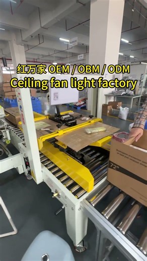 Packing ceiling fan light