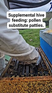 Pollen patties subtitute This is often used to feed and supplement bees through the winter and late spring. Instead of just carbohydrates, pollen patties feed the bees carbohydrates and protein and fat. This is important when bees are raising brood. Part 4 | Beekeeping Journey