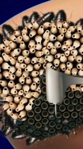 Elbow 2d animation|#asmr #asmrvideo #viralvideo #animation #shorts | ASMR Makeup