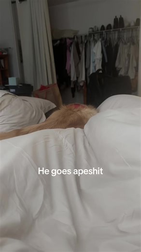 Bryson Holmes (@brysonholmesmus)’s videos with nhạc nền - Mocha Milk US