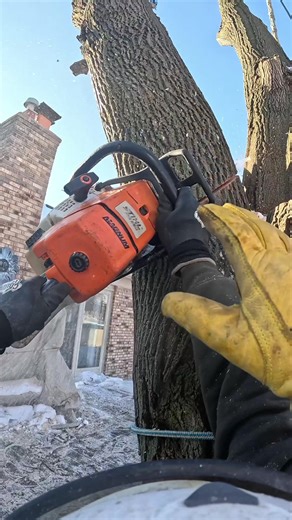 Third hand is a paid actor 😂 #funny #workfun #treeworker #hand | funny work humor