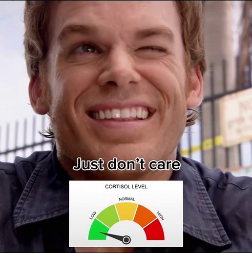 Dexter Low Cortisol Edits: School & Memes