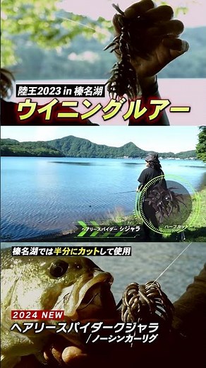 [2024 NEW] Rikuo 2023 at Lake Haruna - The winning lure! Hairy Spider Dark Jala!! #shorts