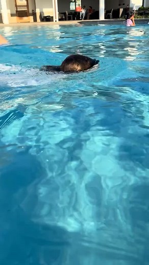  Meet Vera & Hazel!  These two have become besties over the past...