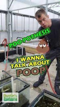 POO-POTHESIS 🐢💩💦