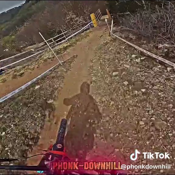 Downhill Mountain Bike Thrills and Challenges