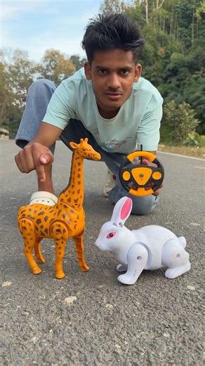 Rc Rabbit Vs Remote Control Giraffe Unboxing 😁