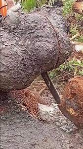 Modern Chainsaw Cutter Technology #ForestryEquipment #WoodProcessing #TreeManagement