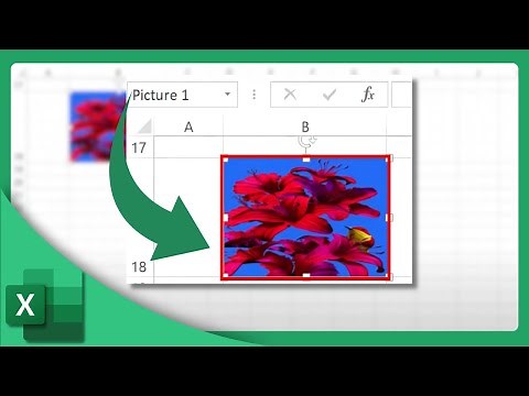 How to Insert and Resize an Image in Excel | Microsoft Excel Tutorial (2025)