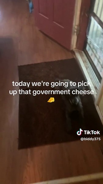 biddy (@biddy375)’s videos with original sound - biddy