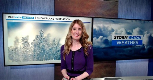 The super cool process of how snowflakes form and what creates their shape