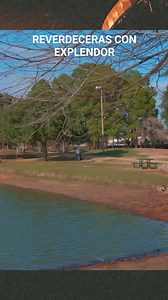 Dios te hara reversecer cob explendor #reverdecer #Dios #jesuschrist #envivo jesus | Octavio Jesùs Castillo