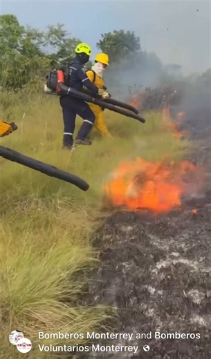 Leaf blower putting out a grass fire. Watch wildfire videos at Wildfire HQ on YouTube. https://www.youtube.com/@WildfireHQ Purchase Wildfire HQ hoodies here: https://fireground.ca/shop/brands/wildfire-hq/true-north-wildland-hoodie/ | Wildfire HQ