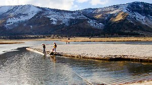 Habitat Creation and Restoration of Lost Ecosystem Function
