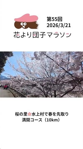 桜満開🌸春爛漫✨【花より団子マラソン2026】